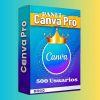 4. Panel CANVA | 500 usuarios